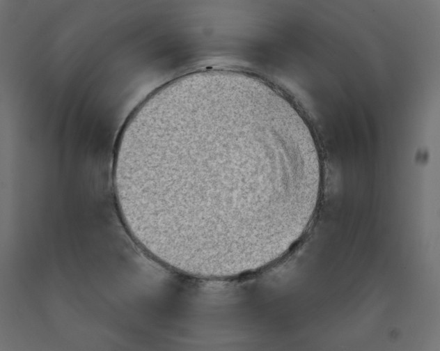 X0000091951322200710041000