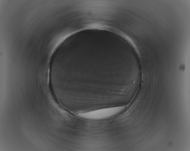 X0000091951323200710041000