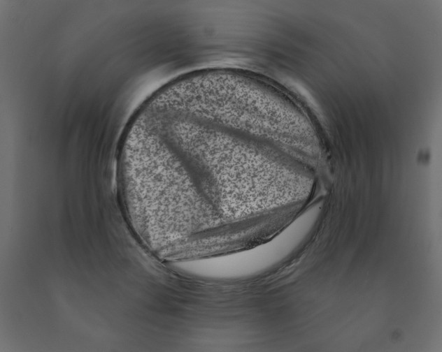 X0000091951324200710041000