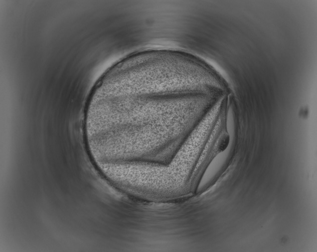 X0000091951325200710041000