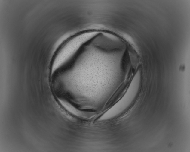 X0000091951326200710041000