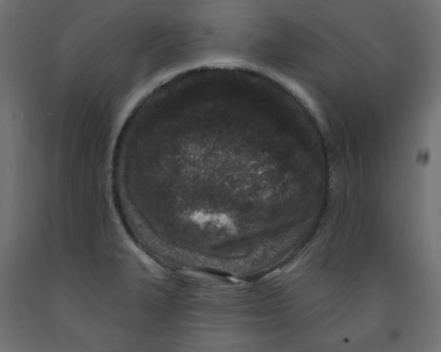 X0000091951327200710041000