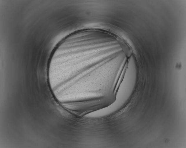 X0000091951328200710041000
