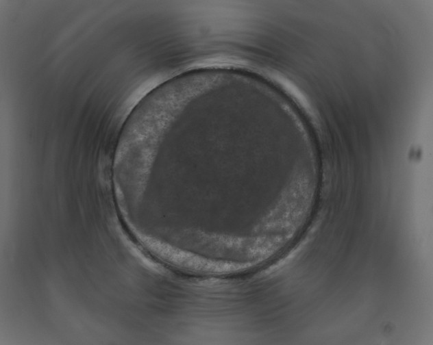 X0000091951329200710041000