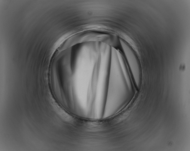 X0000091951330200710041000