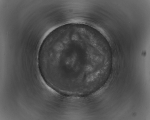 X0000091951331200710041000