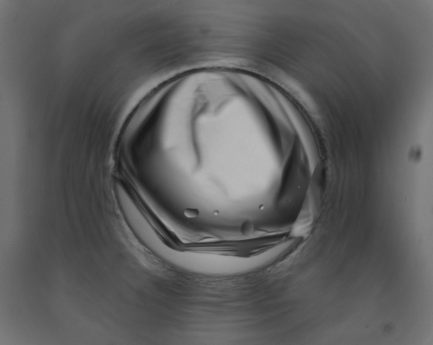 X0000091951332200710041000