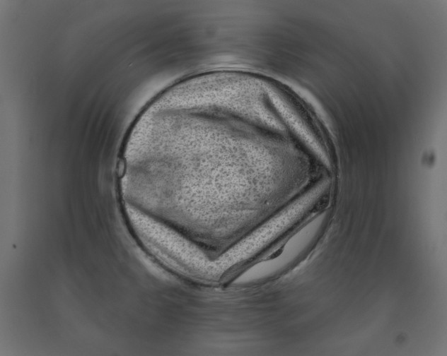 X0000091951333200710041000
