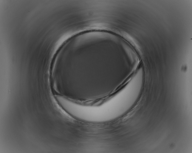 X0000091951334200710041000