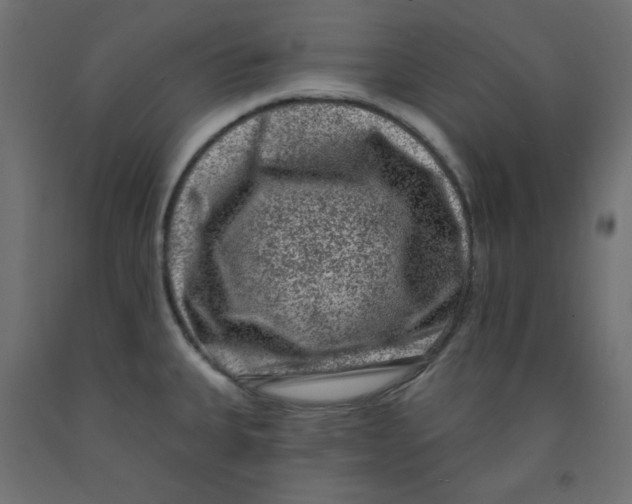 X0000091951335200710041000