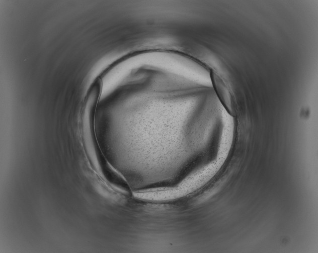 X0000091951336200710041000