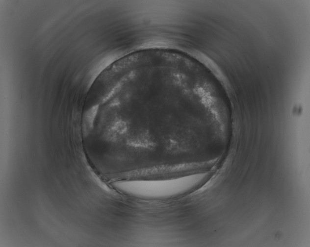 X0000091951337200710041000