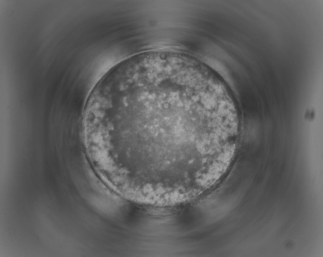 X0000091951338200710041000