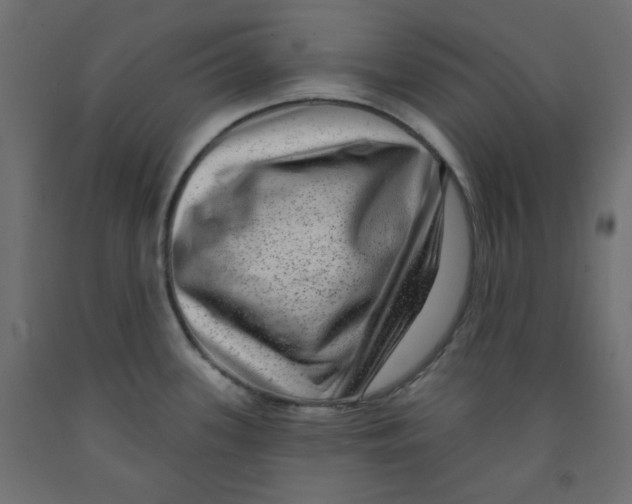 X0000091951339200710041000