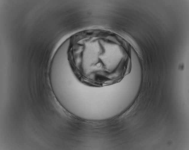 X0000091951340200710041000