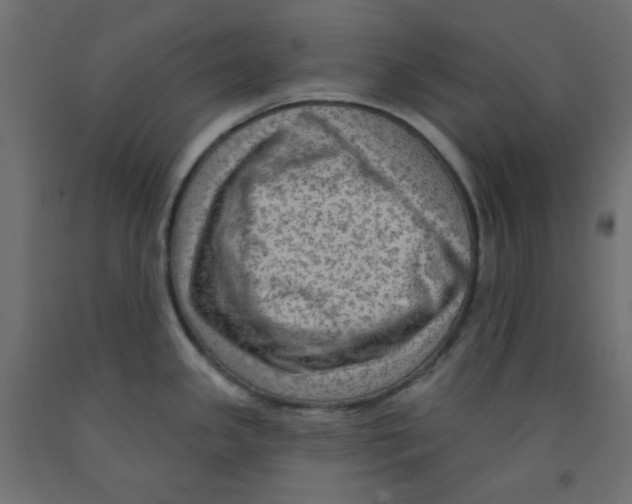 X0000091951341200710041000