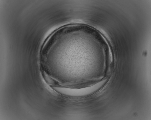 X0000091951342200710041000