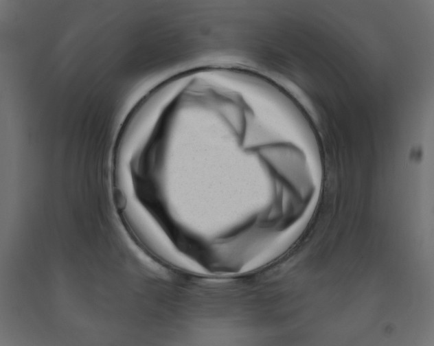 X0000091951343200710041000