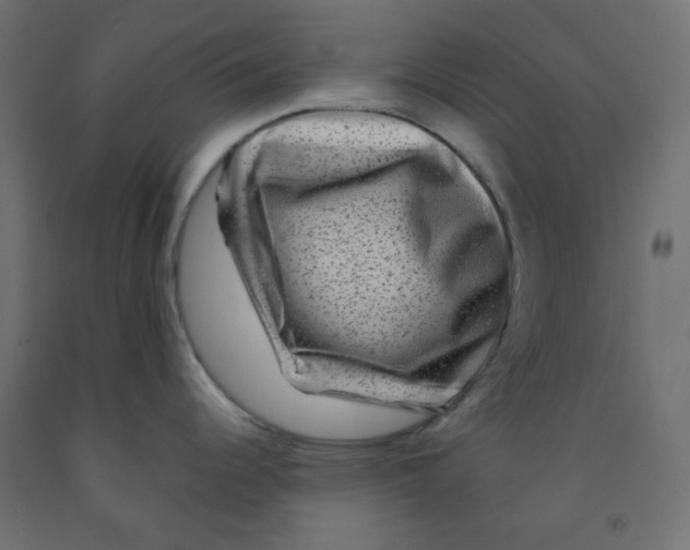 X0000091951344200710041000