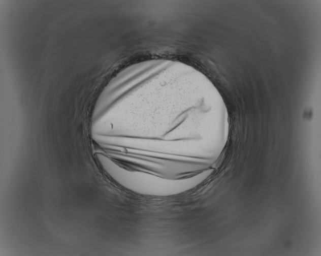 X0000091951345200710041000