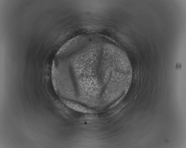 X0000091951346200710041000