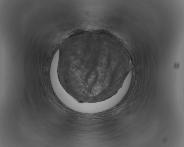 X0000091951348200710040959