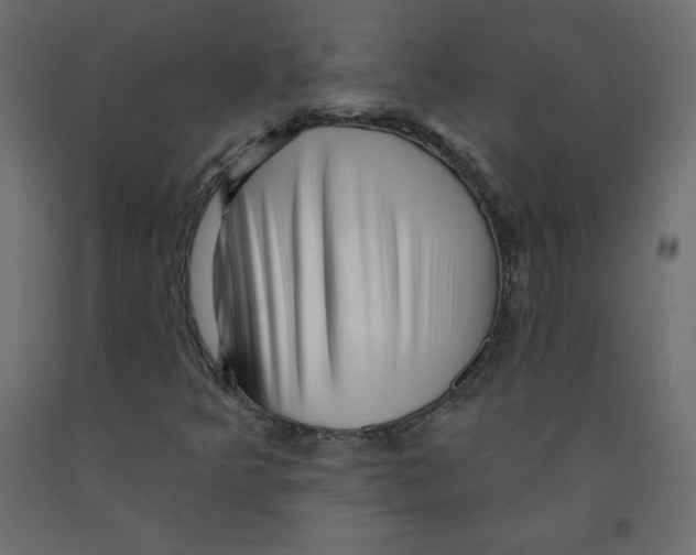 X0000091951349200710040959