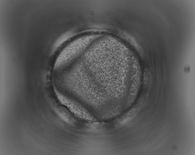 X0000091951352200710040959