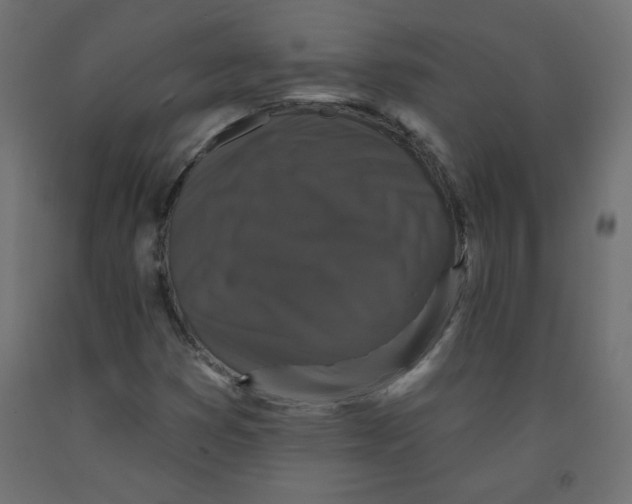 X0000091951353200710040959