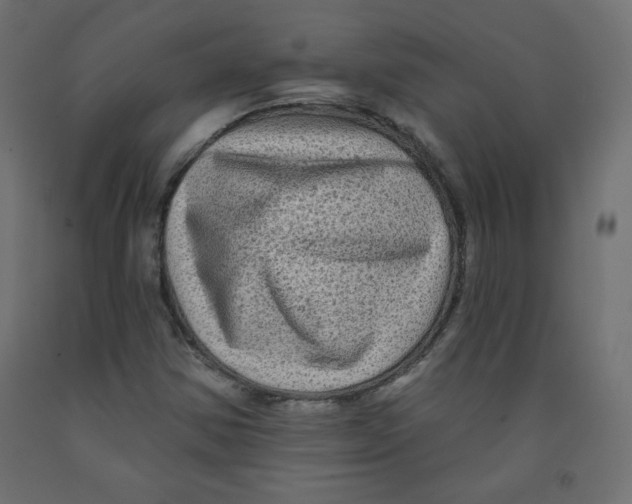 X0000091951354200710040959