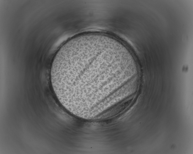 X0000091951355200710040959