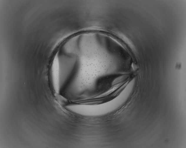 X0000091951356200710040959