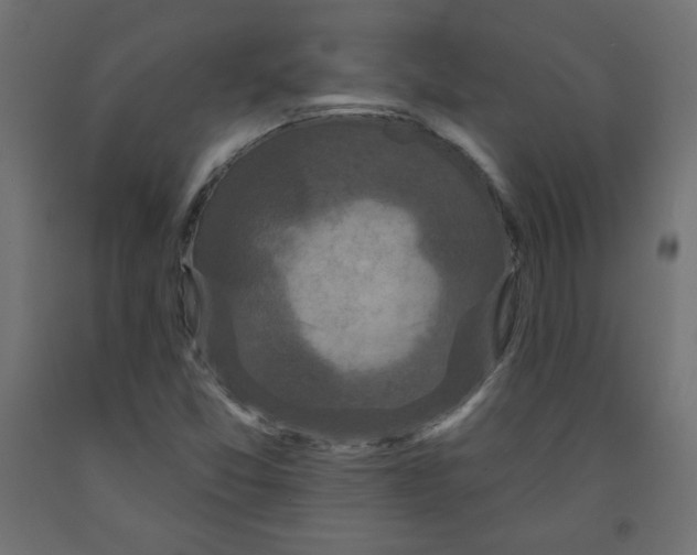 X0000091951357200710040959