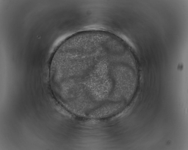 X0000091951358200710040959