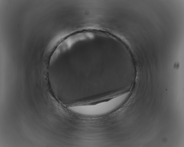 X0000091951359200710040959