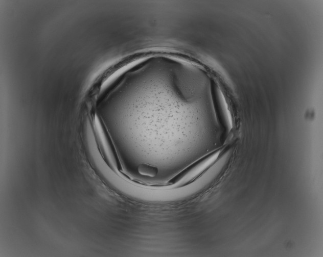 X0000091951360200710040959