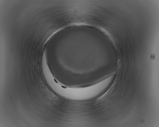 X0000091951361200710040959