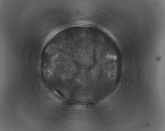 X0000091951362200710040959