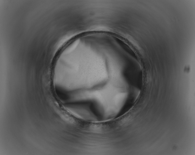 X0000091951364200710040959