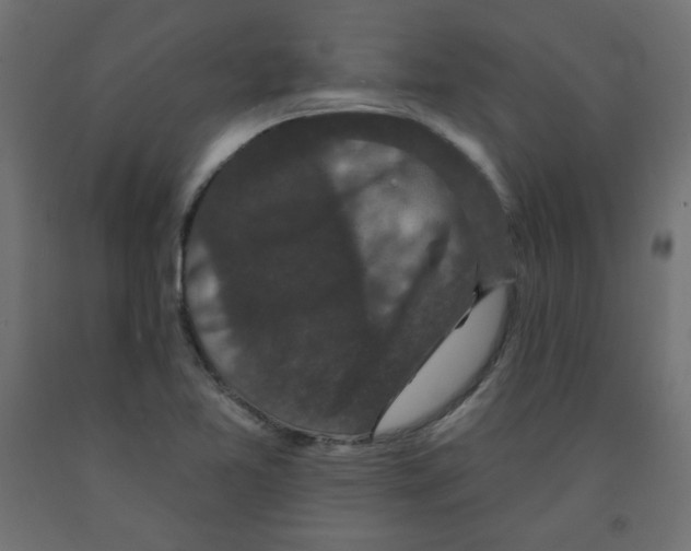 X0000091951365200710040959