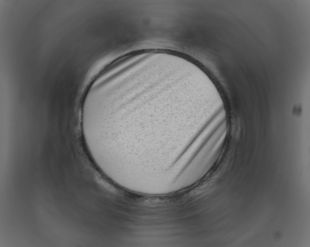 X0000091951366200710040959