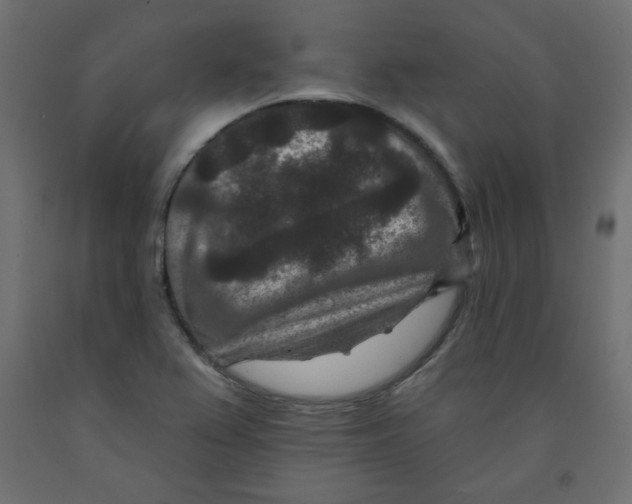 X0000091951367200710040959