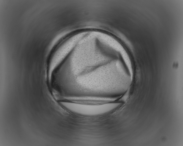 X0000091951368200710040959