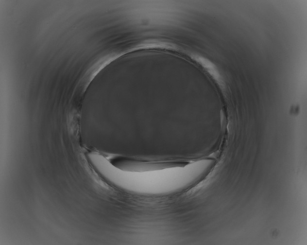 X0000091951369200710040959