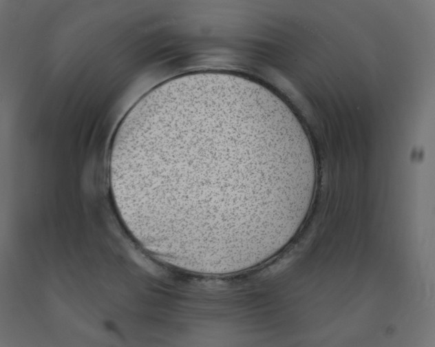 X0000091951370200710040959