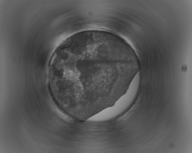 X0000091951371200710040959