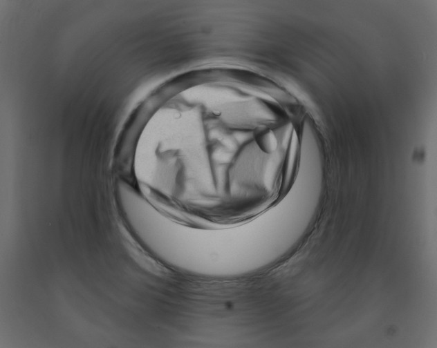 X0000091951372200710040959