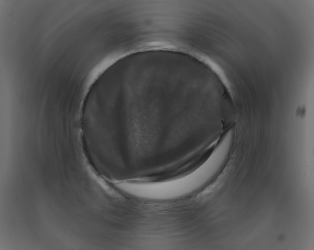 X0000091951373200710040959