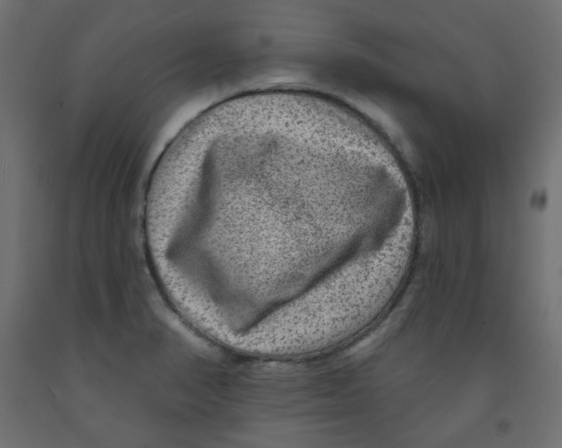 X0000091951374200710040959