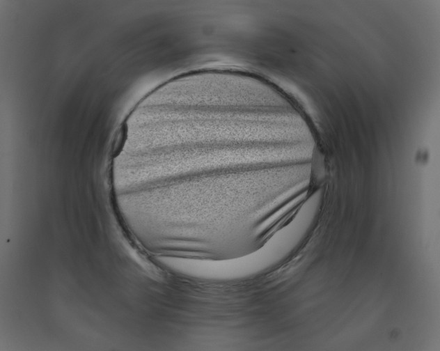 X0000091951375200710040959